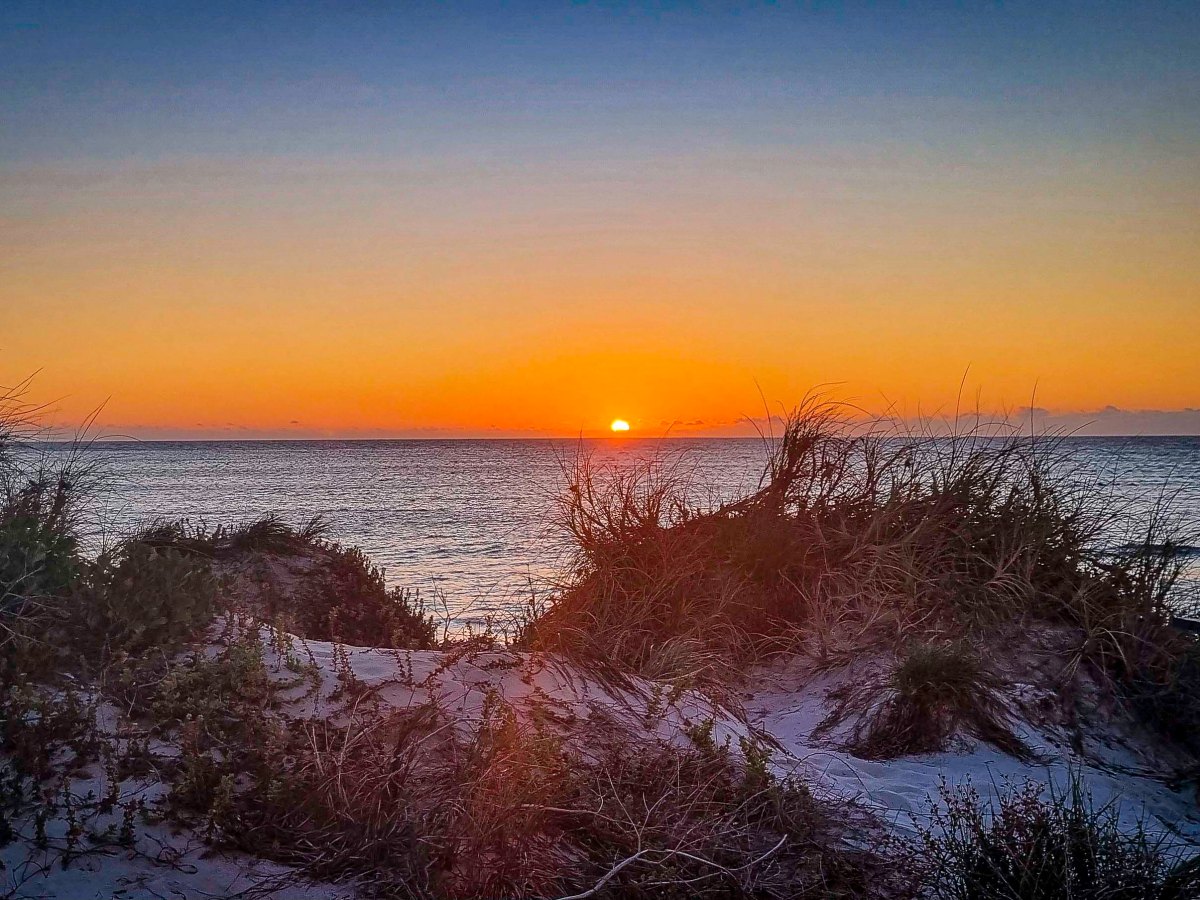 The Big Trip part&nbsp;9